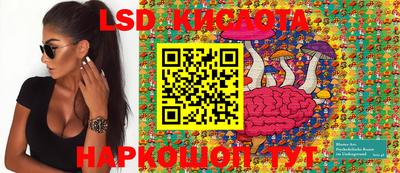 ALPHA PVP Гатчина