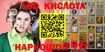 стаф Волгодонск