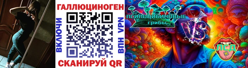 купить наркотики цена  Вязьма  даркнет как зайти  Галлюциногенные грибы мицелий 