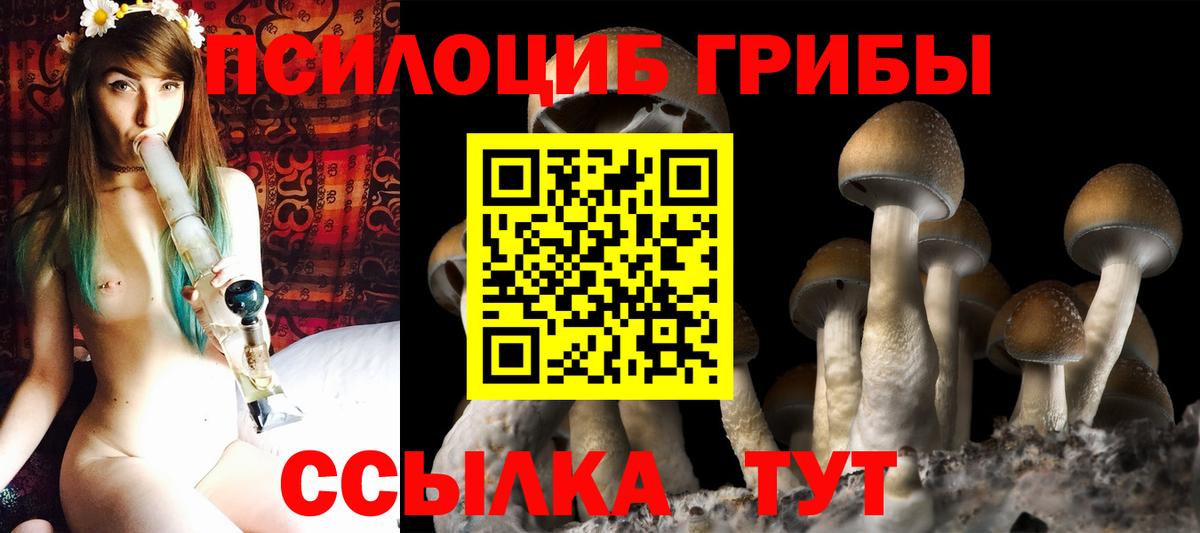 Галлюциногенные грибы Psilocybe  Галлюциногенные грибы ЛСД  Вязьма 