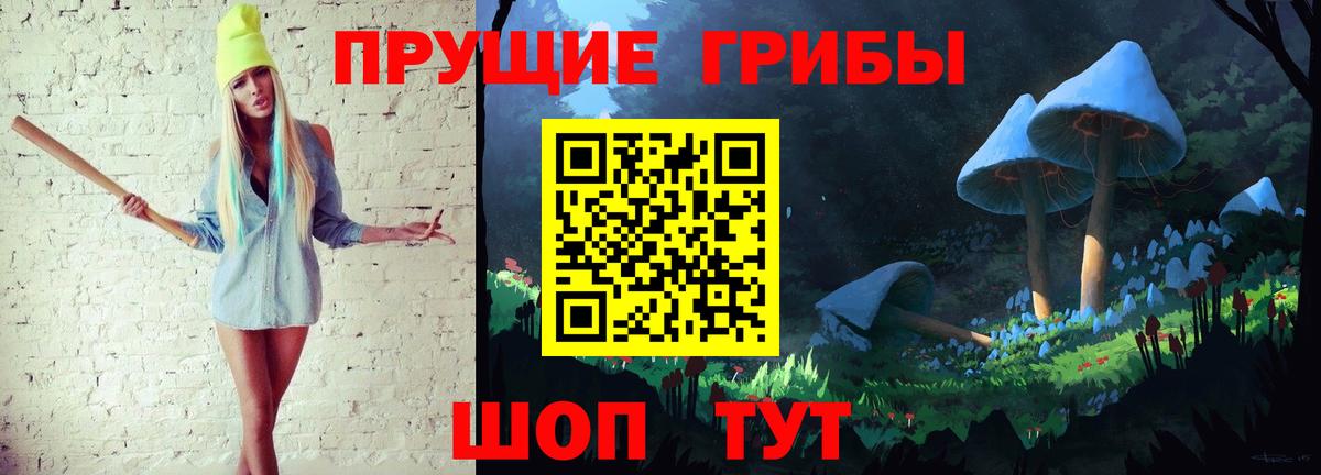 Псилоцибиновые грибы мицелий Вязьма