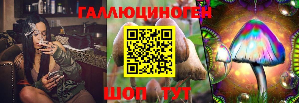 Вязьма  Псилоцибиновые грибы MAGIC MUSHROOMS  Вход с VPN  Псилоцибиновые грибы мухоморы 