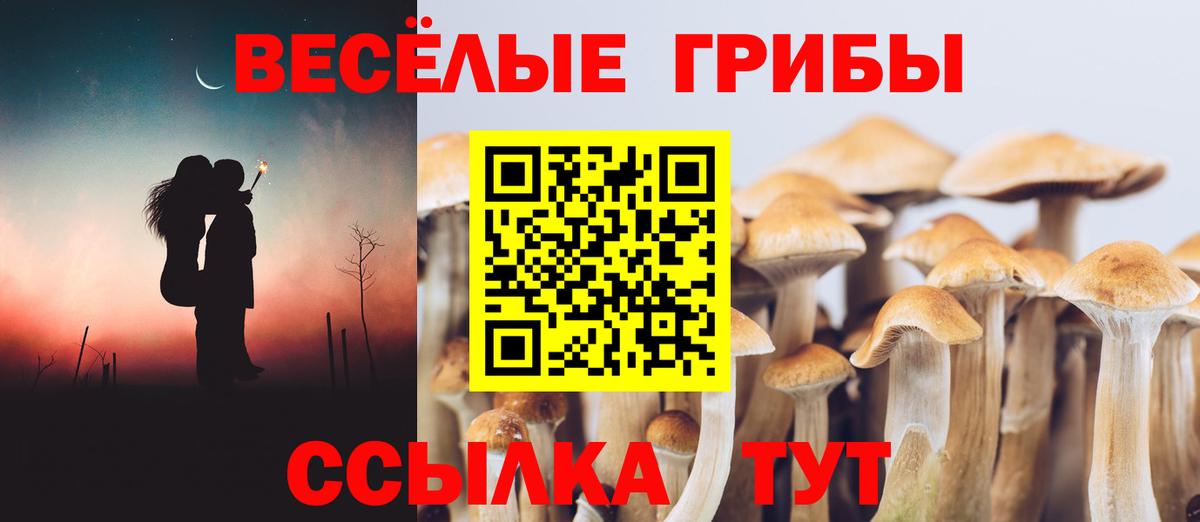 Псилоцибиновые грибы MAGIC MUSHROOMS Вязьма